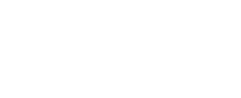 logo BNEC